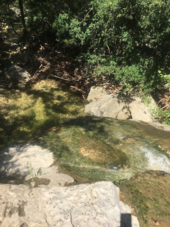 TopTripRentals_BlogPic_BullCreek04_2018