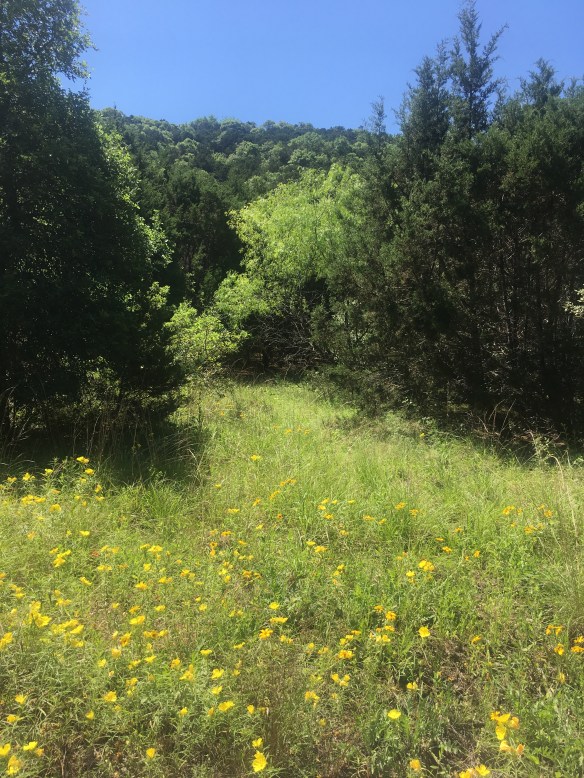 TopTripRentals_BlogPic_BullCreek08_2018